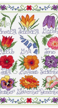 Flower Sampler by Lesley Teare