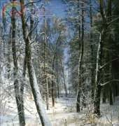Golden Kite GK 1509 - Winter in Wood