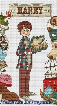 Harry Potter by Ekaterina Meshkova
