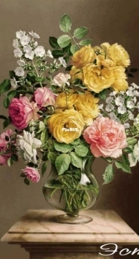 EstE 340 Roses and Phlox