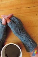 Vancouver Specials-Half Mitts by Diana Twiss -Free