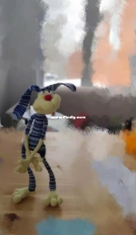 rabbit