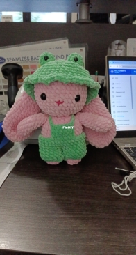 Bunny with frog hat