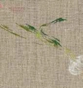 MTSA - Ognon blanc
