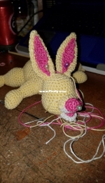 Baby Rabbit