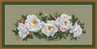 White Rosehip by Ekaterina Kutyina Kutina Екатерина Кутьина XSD