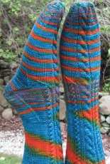 P Sherman 42 Wallaby Way Sydney Socks by Heidi Nick-Free