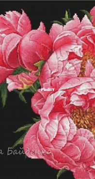 Peonies by Inna Baydenko XSD