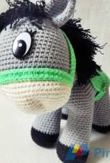 Pony or Donkey?