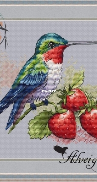 Alveigs Stitch - The Strawberry Hummingbird by Ekaterina Ramaykina