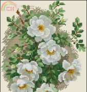 Riolis 1351 White Briar
