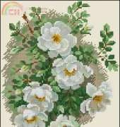 Riolis 1351 White Briar