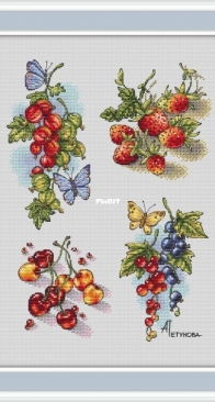 Berry Assortment Sampler by Anna Petunova