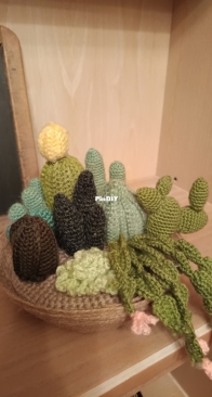 Terrario de cactus 2 - Cactus Terrarium 2