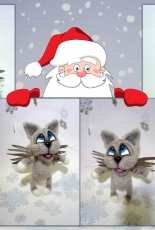 Cat angel