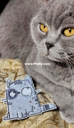 Cat by Rin Stitch