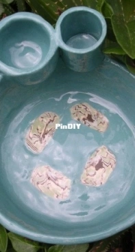Olive dish
