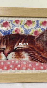 HAE QS Pink Blanket