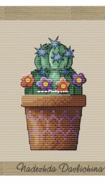 Cactus With Flowers by Nadezdha Davlichina