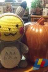 Pikachu in his Totoro Costume