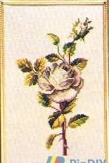 Eva Rosenstand 12-202 White rose