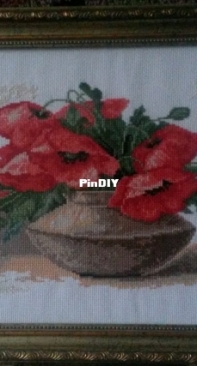 Poppies in a vase