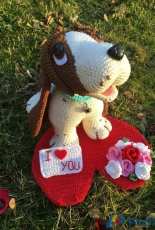 Colita Wen  - Nicole Wenzelmann - Bruno Valentines Day Dog