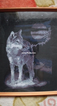 Lone wolf