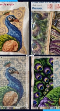 Orchidea 9553 - Peacock