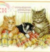 Lanarte 34305 Cats