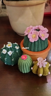Cactus