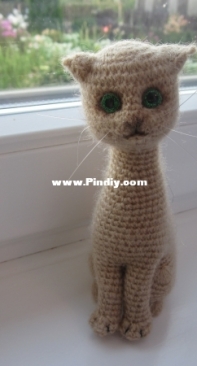 Kitty
