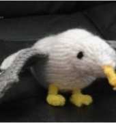 mouette