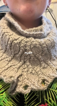 Aviat Cowlette