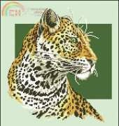 Panna F 664 Leopard