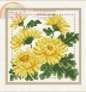 Ellen Maurer Stroh EMS - Flower of the Month - November - Chrysanthemum PCS