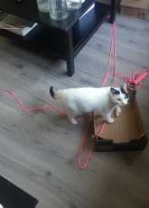 My sweety
