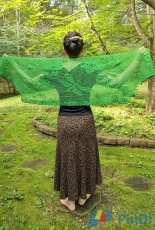 Designs By Dio - Dragonfly Filet Shawl - Free