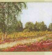 Thea Gouverneur TG 1051 Heide