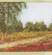 Thea Gouverneur TG 1051 Heide