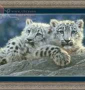 Kustom Krafts 35073 - Snow Leopard Cubs