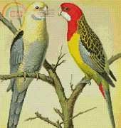 Artecy Cross Stitch - Rosella