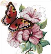 Green Apple  - Hibiscus Butterfly by Janet Powers