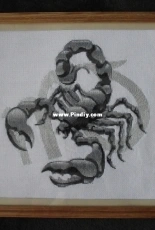 My Scorpio