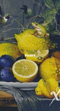 Chimera  - Still Life Lemons and Plums