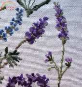 Variétés lavandes, Lucas creation,