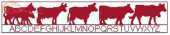 Anagram Diffussion - ABC Les Vaches PCS