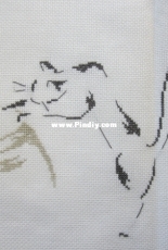 MTSA Cat and fish