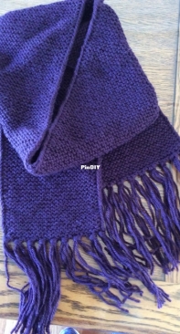 Distitch Edge Scarf by Assia Brill-English, Russian -Free