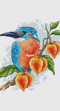 Kingfisher by Mila Foss